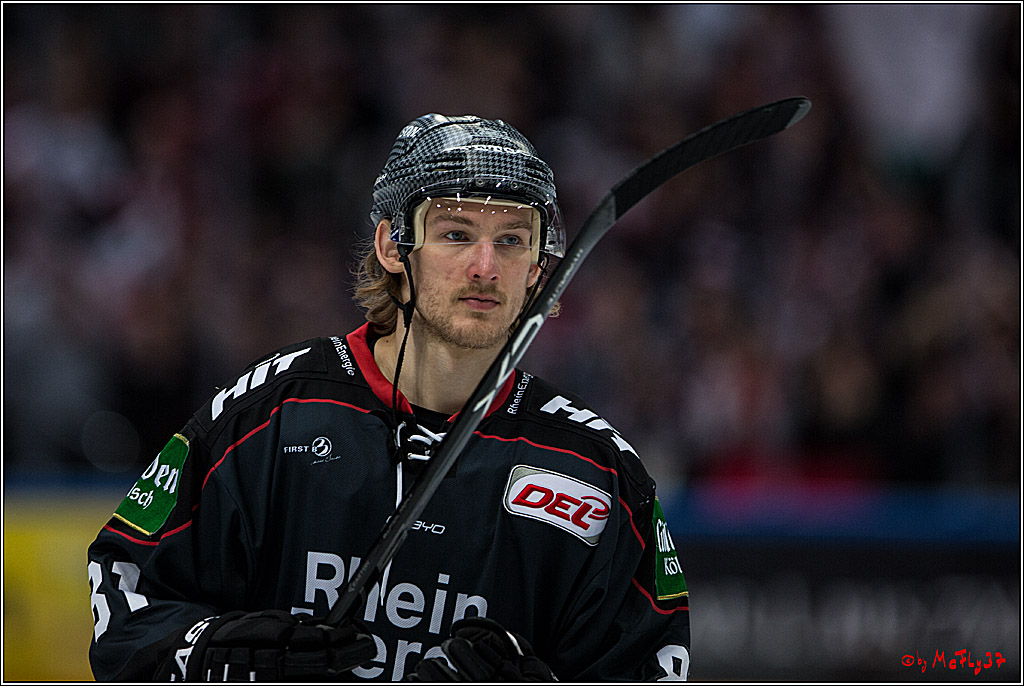 DEL, Koelner Haie - Fishtown Pinguins Bremerhaven, 29.01.2017